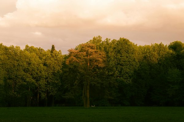 La Relation Intime Entre Diabète et Vie Sexuelle : Ce Que Vous Devez Savoir